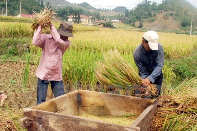 Ảnh chỉ có tính minh họa. (Nguồn: T.H/Vietnam+)